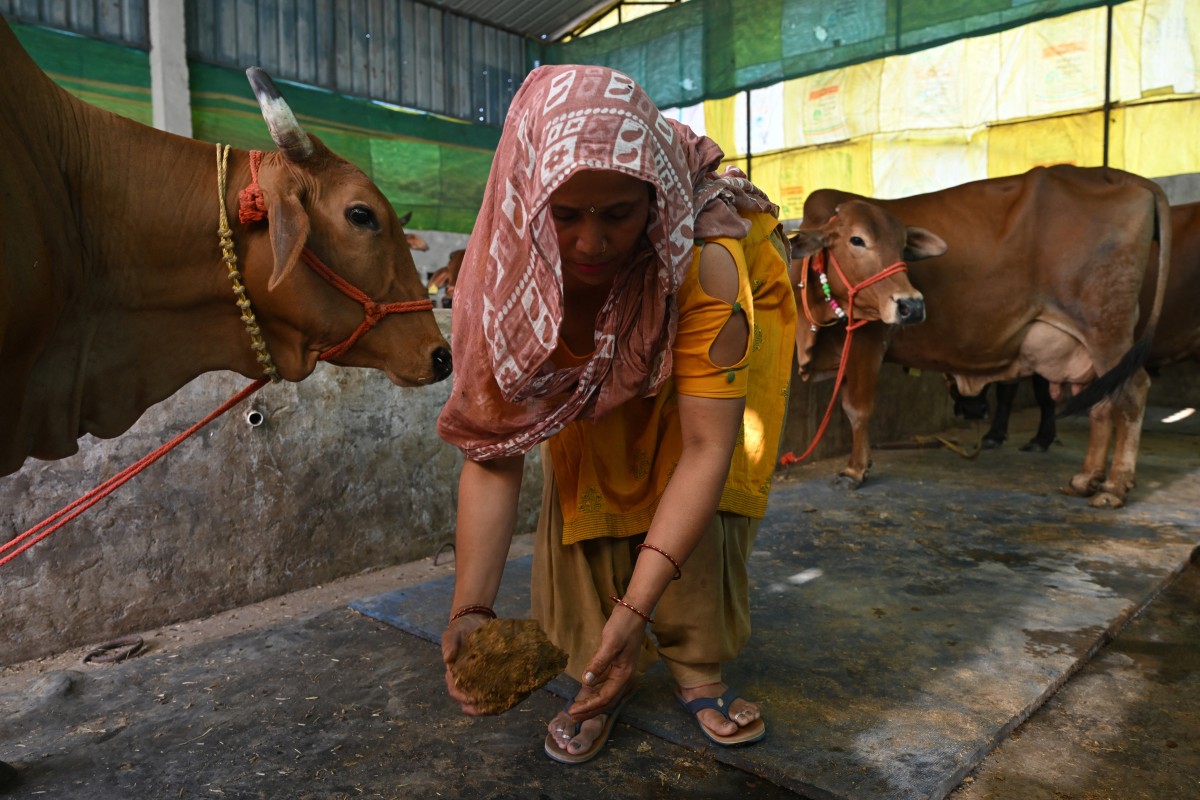 ‘কালো সোনা’য় জ্বালানি সংকটের সমাধান দেখছে ভারত