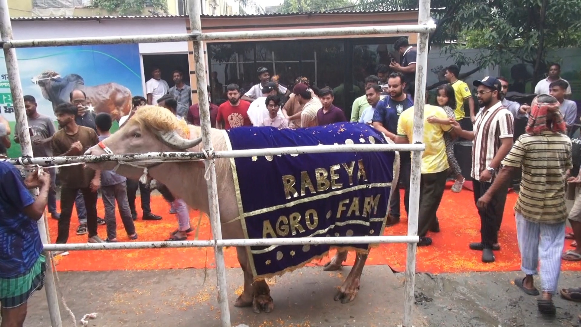 লাল গালিচায় ‘রাজকীয়’ বিদায় পেল ‘ডোনাল্ড ট্রাম্প’