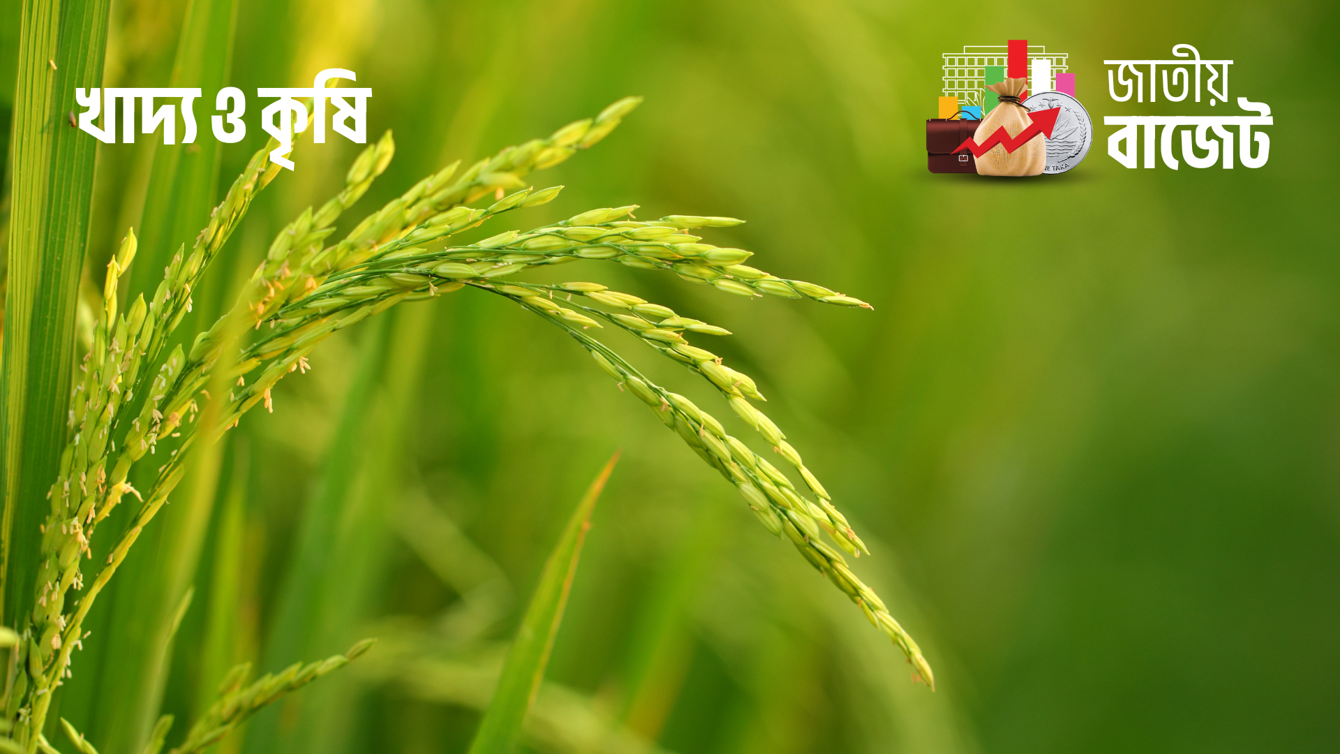 কৃষি, খাদ্য ও মৎস্য খাতে ৪৩ হাজার ৩৩৫ কোটি টাকার বরাদ্দ প্রস্তাব