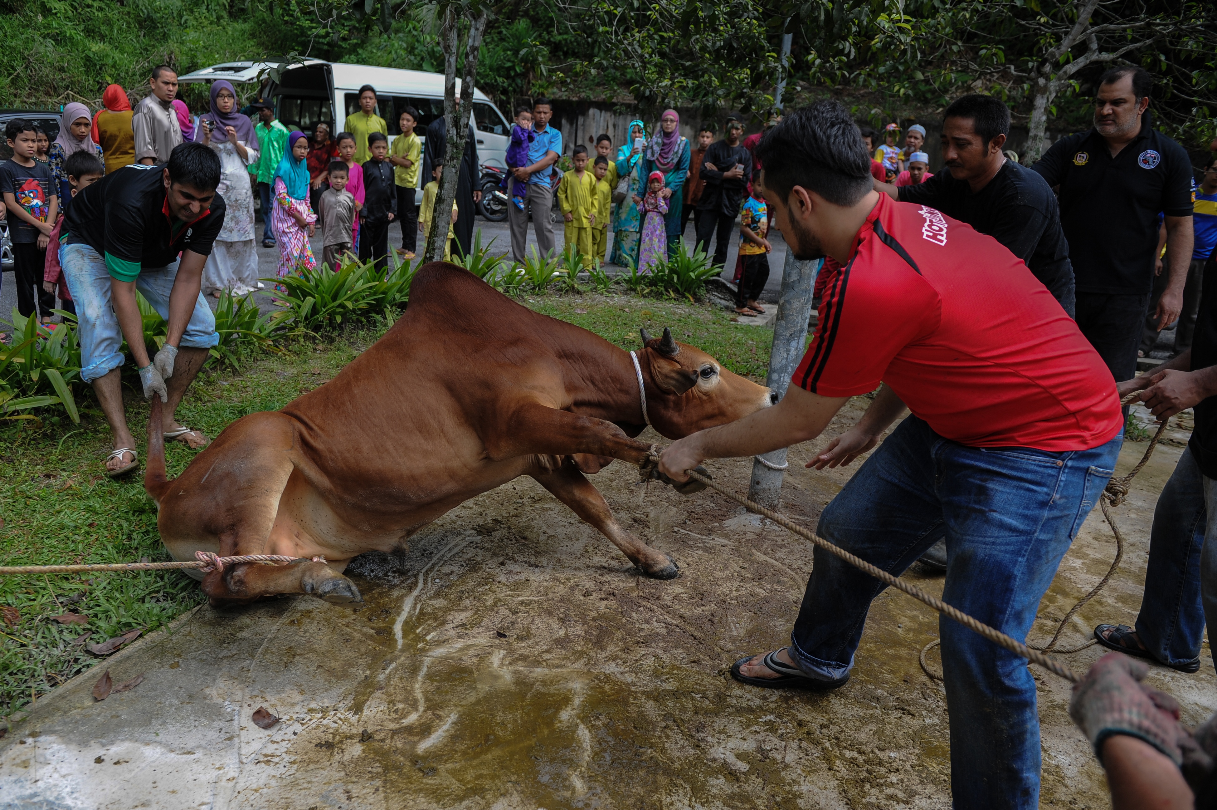 প্রস্তর যুগ থেকে চলছে ‘ত্যাগ-উৎসর্গ’