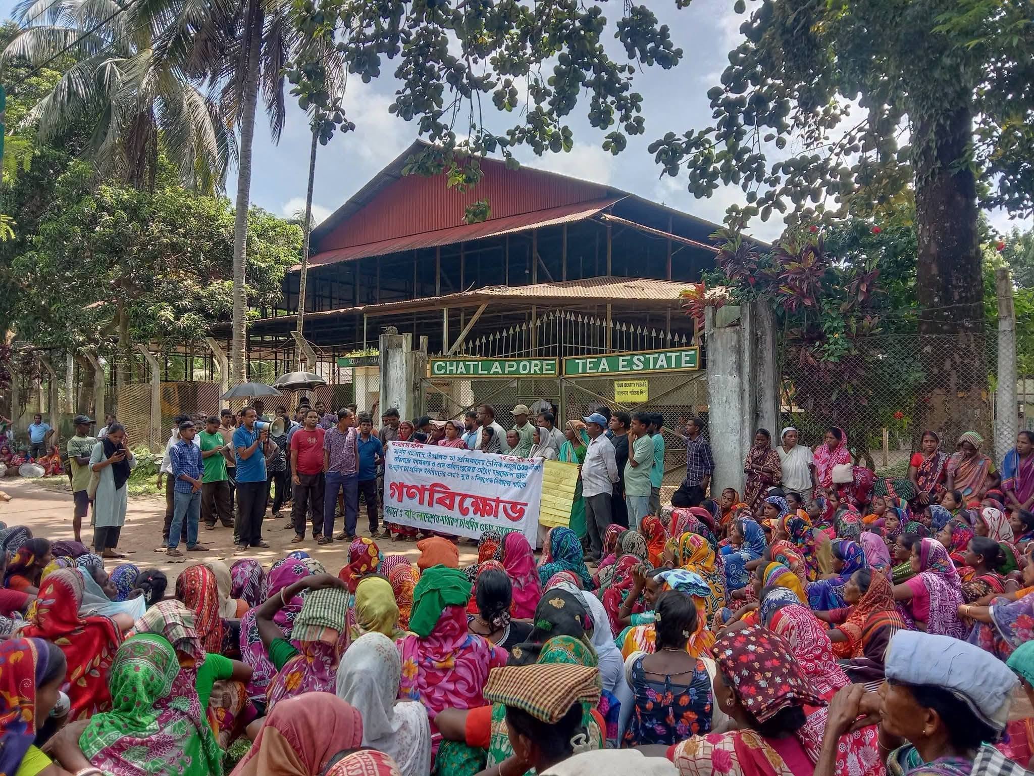 ৫০০ টাকা মজুরির দাবিতে চা শ্রমিকদের বিক্ষোভ