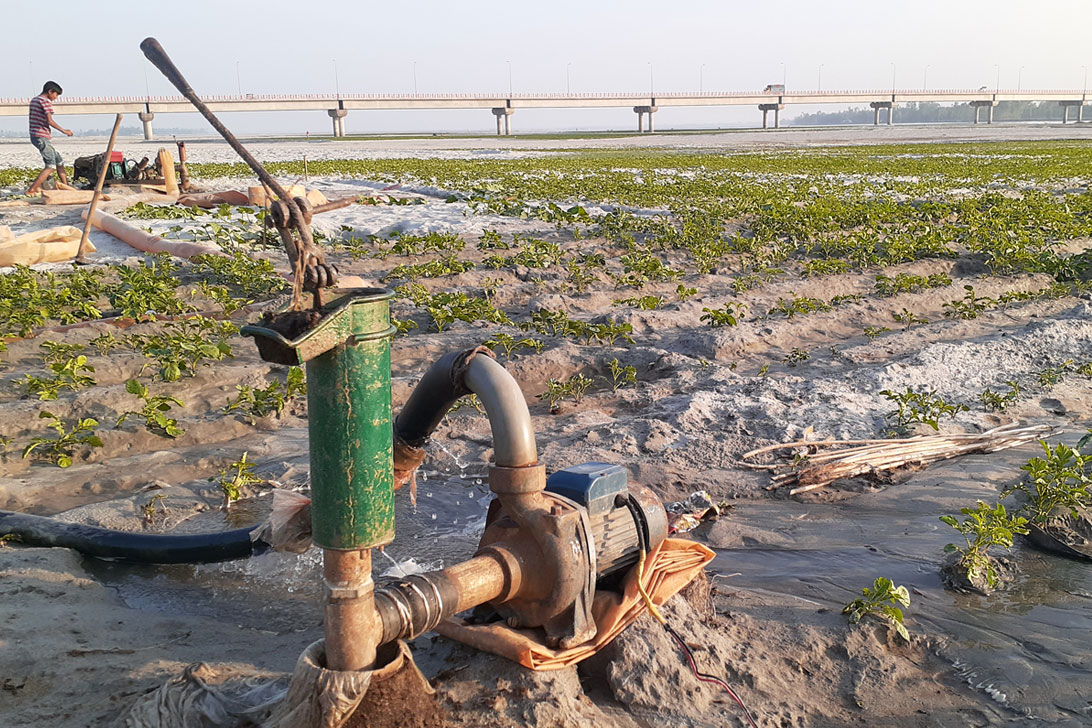 তিস্তার বুকে শ্যালো বসিয়ে চাষাবাদ