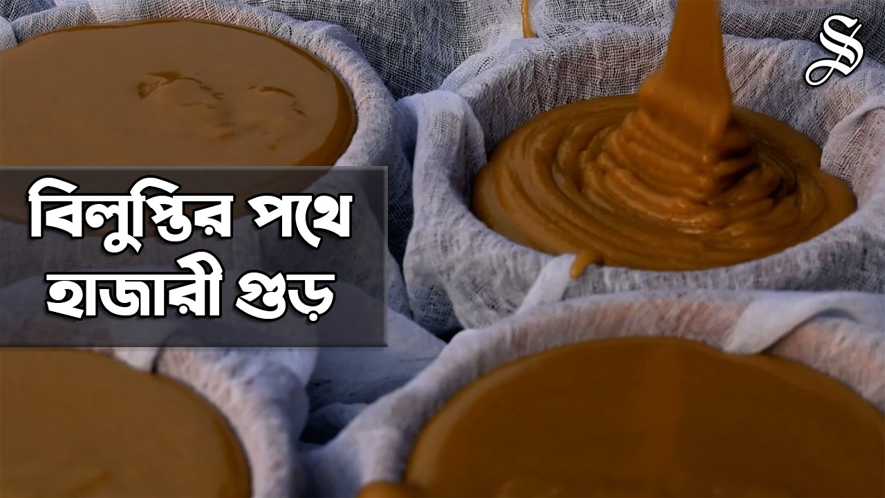 হারানোর পথে মানিকগঞ্জের হাজারী গুড়