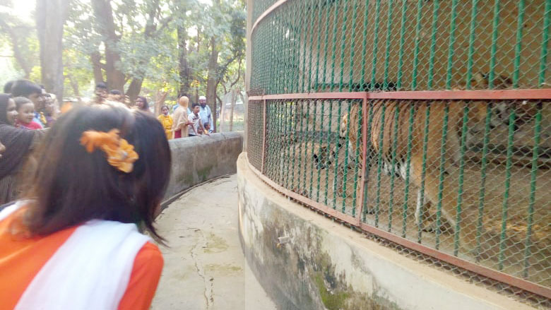 চিড়িয়াখানায় প্রাণীদের উত্ত্যক্ত করলে ২ হাজার টাকা জরিমানা