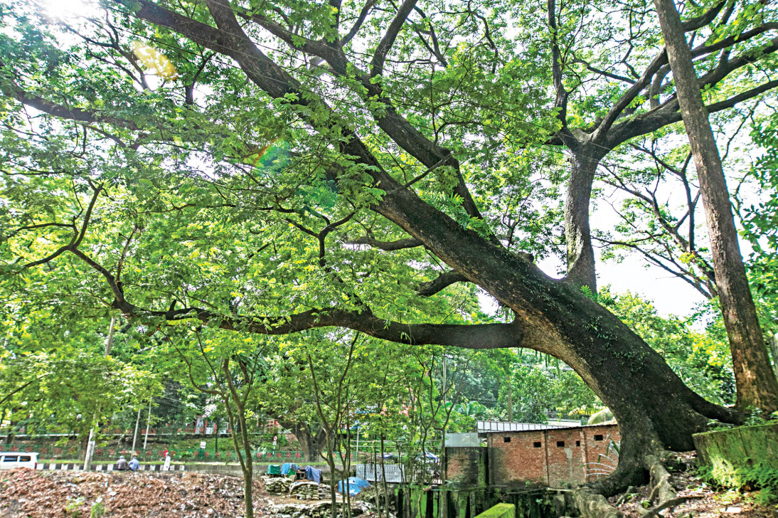 সিআরবিতে হাসপাতাল নির্মাণের বিষয়ে চূড়ান্ত সিদ্ধান্ত প্রধানমন্ত্রীর: সংসদীয় কমিটির সভাপতি