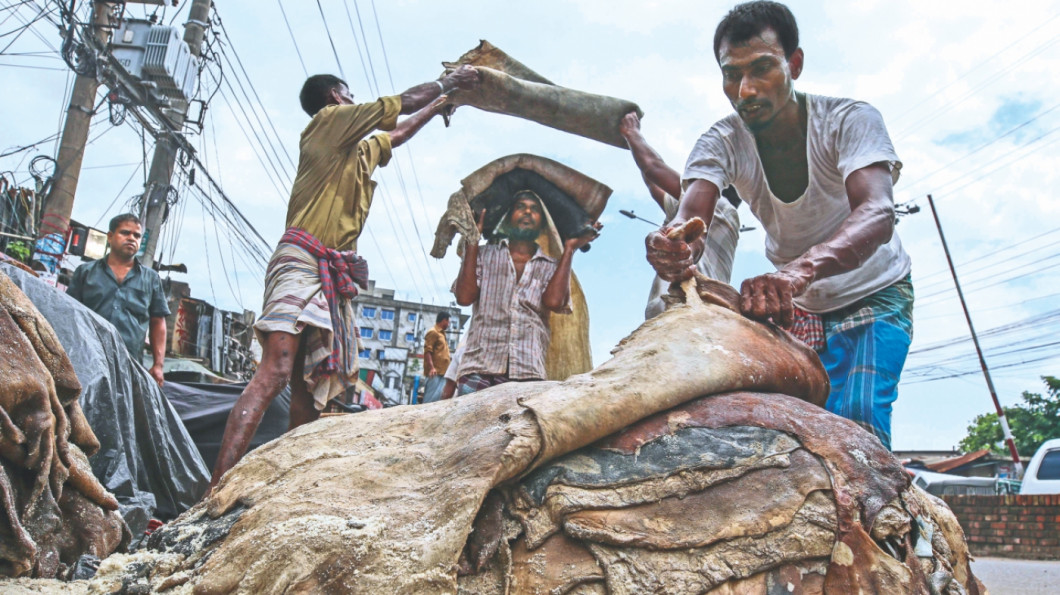 কোরবানির পশুর চামড়া সংরক্ষণে লবণের চাহিদা জানতে চেয়েছে বিসিক