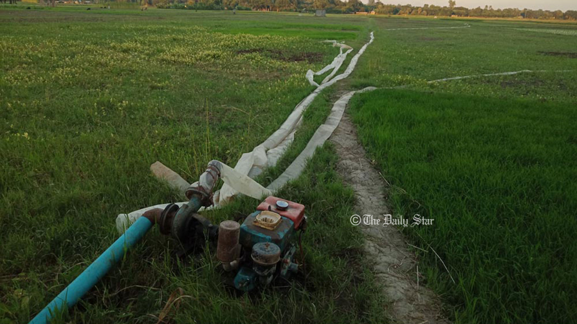 আমন নিয়ে সংশয়ে কৃষক