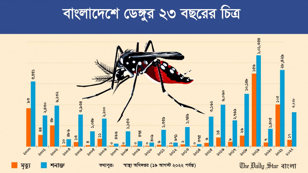 মশা নিয়ন্ত্রণে কার্যকর উদ্যোগ নেই, দাবি বিশেষজ্ঞদের