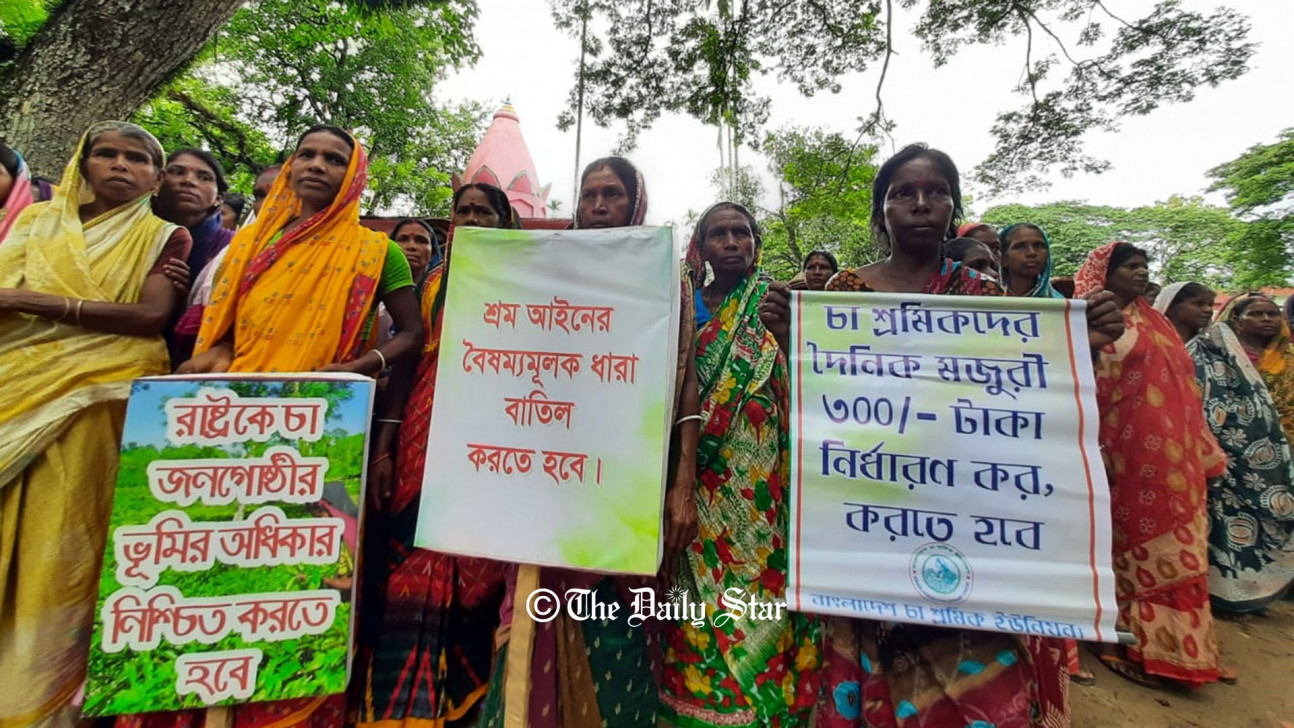 চা-শ্রমিকদের প্রতি সংহতি জানিয়ে ৪৫ নাগরিকের বিবৃতি