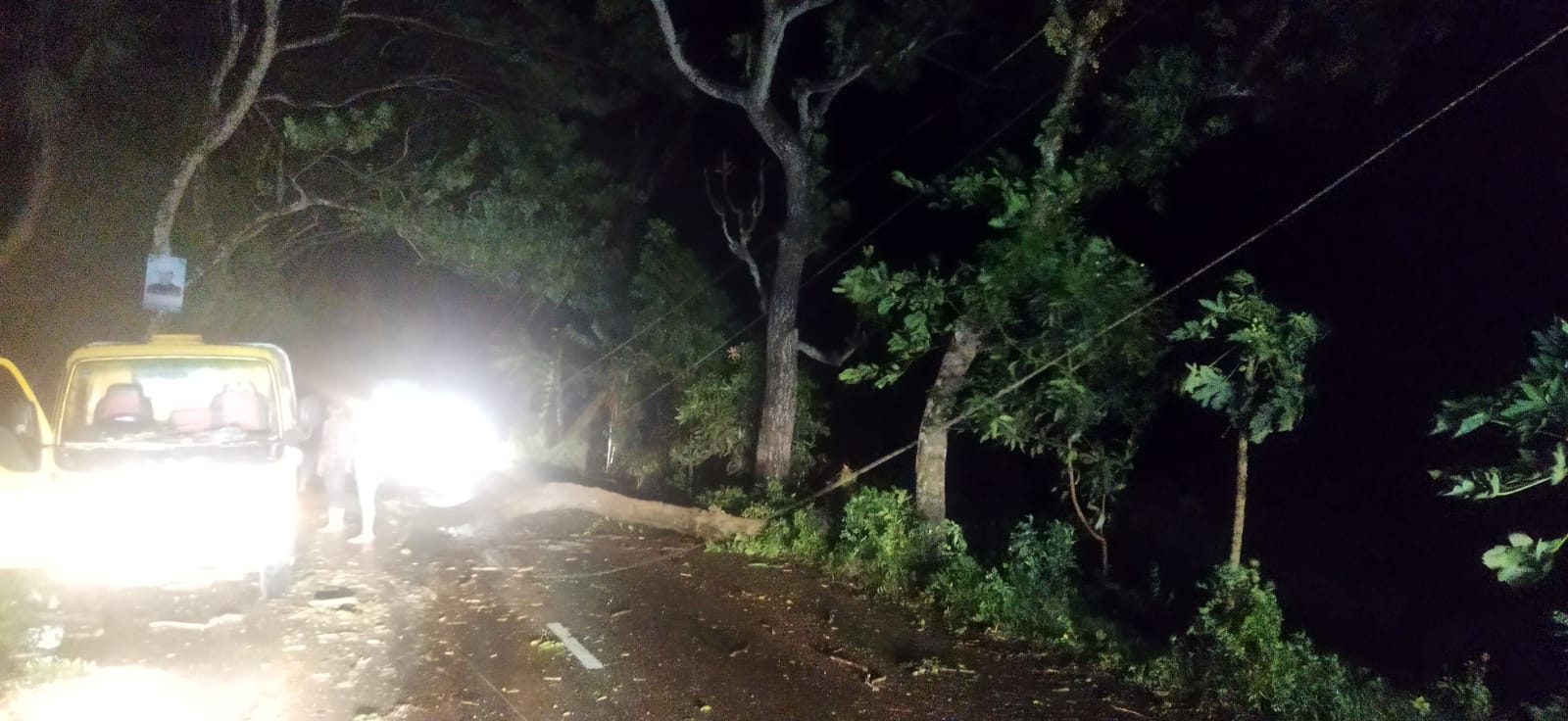 ঘূর্ণিঝড় সিত্রাং: গাছ পড়ে ঢাকা-চট্টগ্রাম মহাসড়কে ৩ ঘণ্টা যান চলাচল বন্ধ