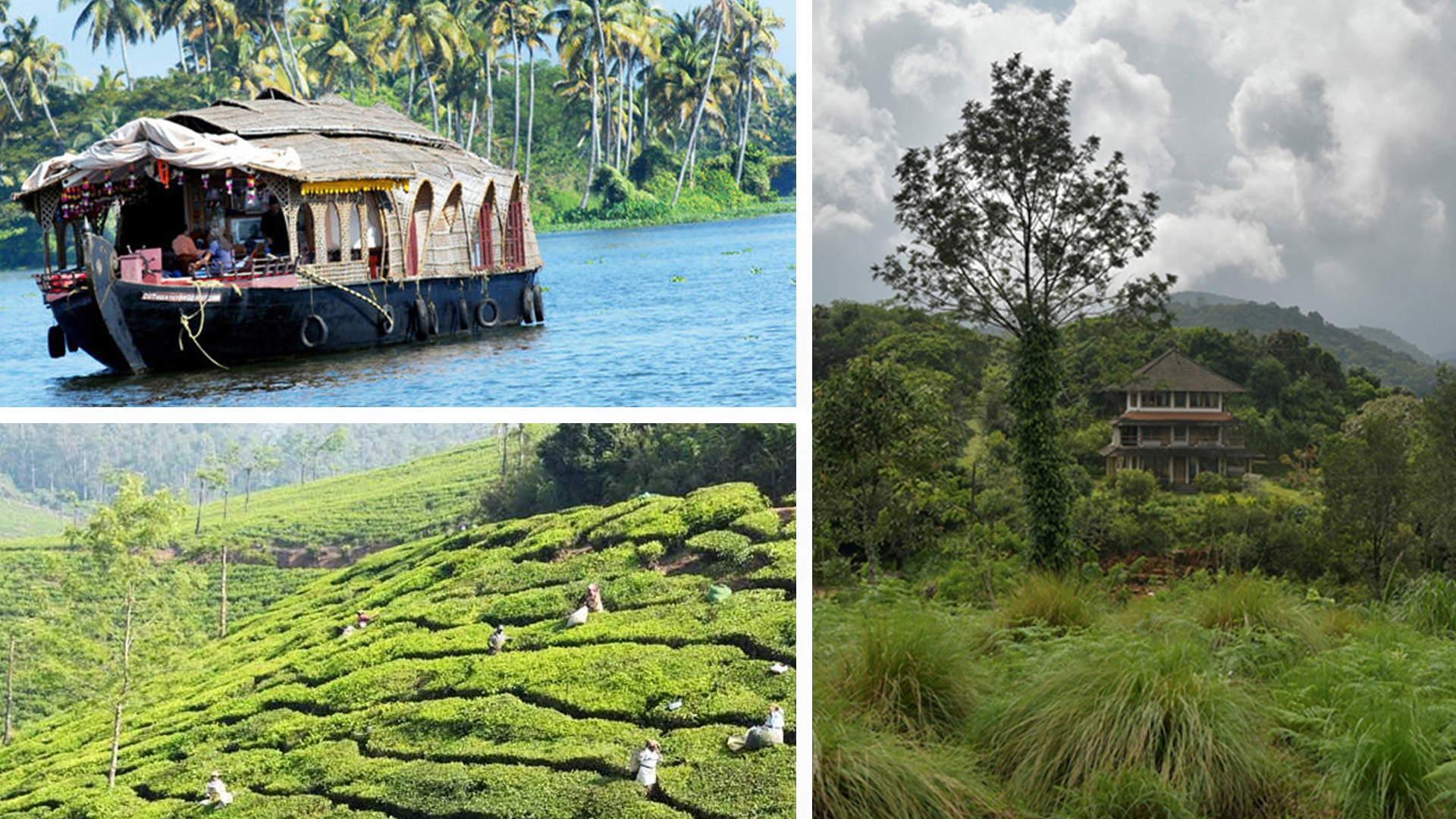 কেরালার যে ৬ জায়গা ঘুরতে যেতে পারেন