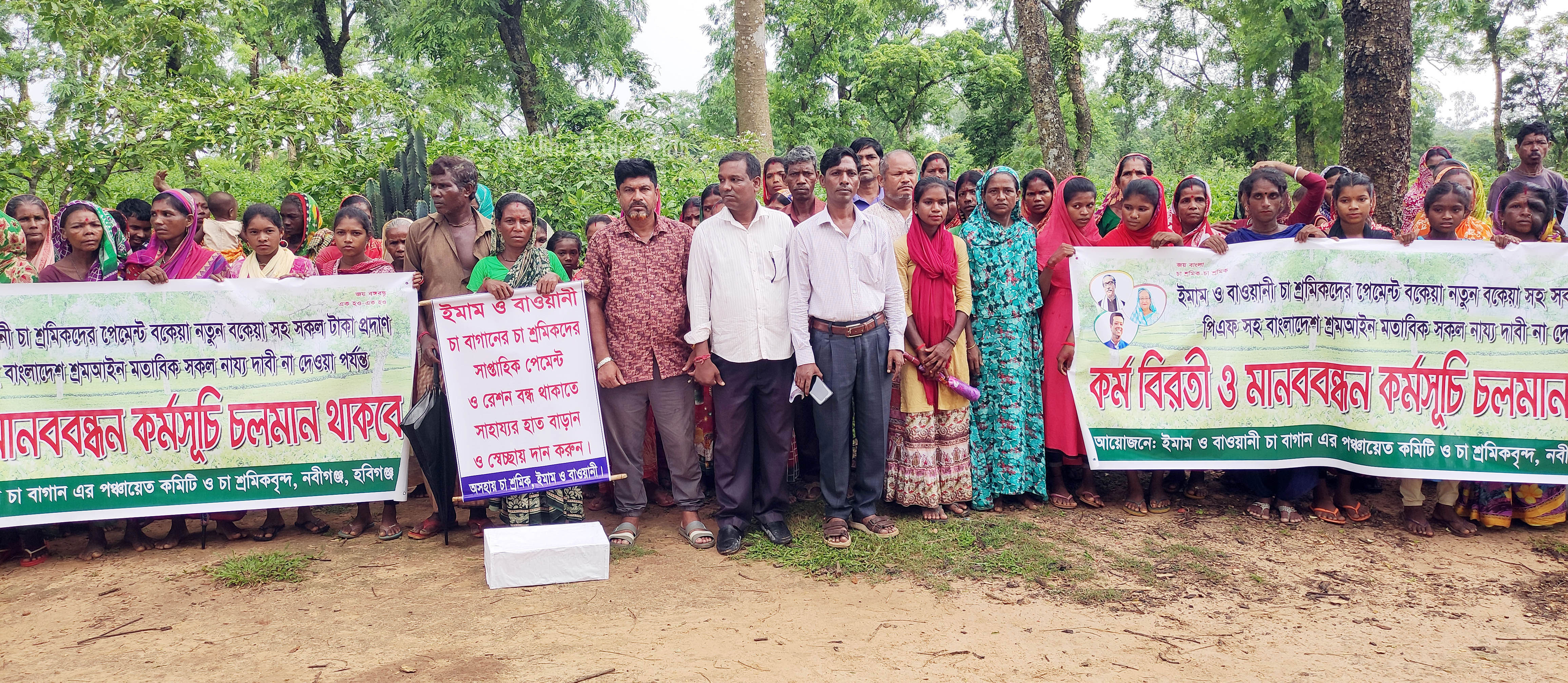 ২ চা বাগানে ৪ বছর ধরে বকেয়া মজুরি পাচ্ছেন না ৩৬০ শ্রমিক