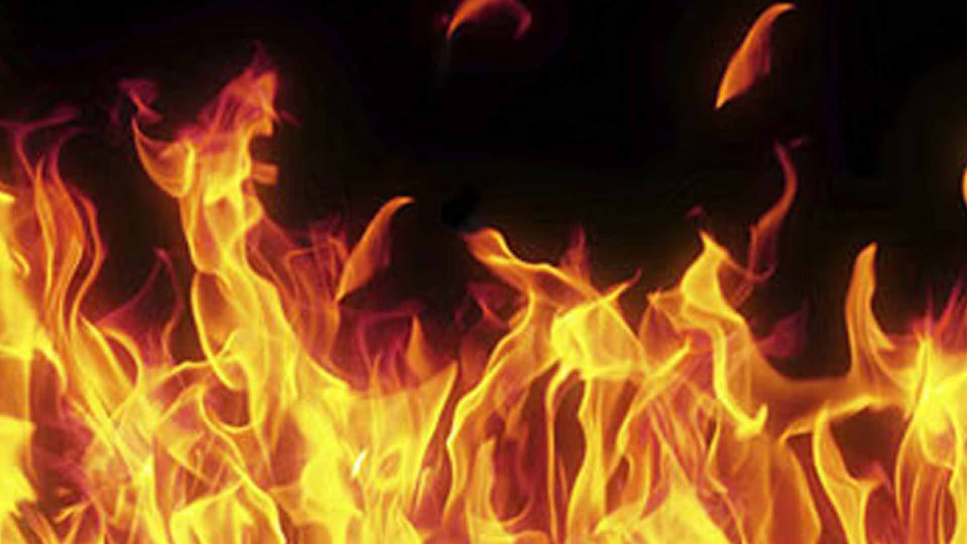 যাত্রাবাড়ীতে বাসে আগুন, যুবক দগ্ধ