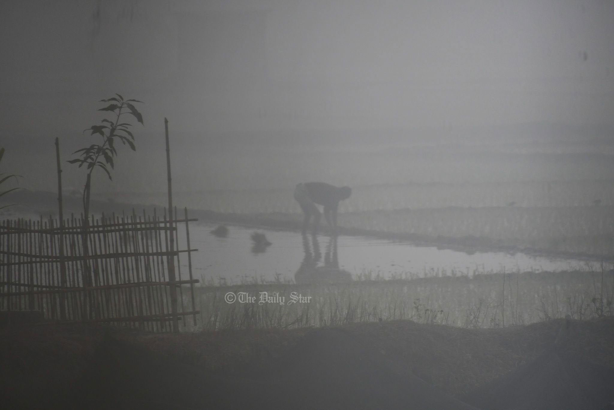আজ তেঁতুলিয়ায় মৌসুমের সর্বনিম্ন তাপমাত্রা ৫ ডিগ্রি সেলসিয়াস
