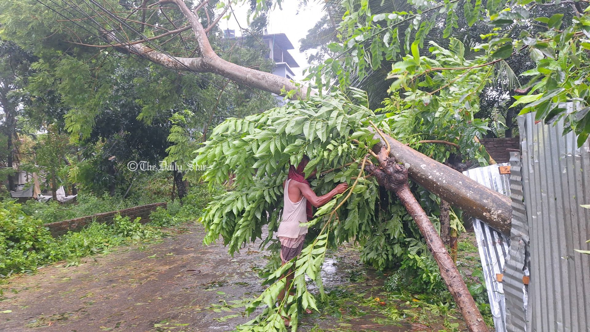 বিদ্যুৎবিচ্ছিন্ন দেশের অর্ধেকের বেশি গ্রাহক, উৎপাদন নেমেছে এক-তৃতীয়াংশে