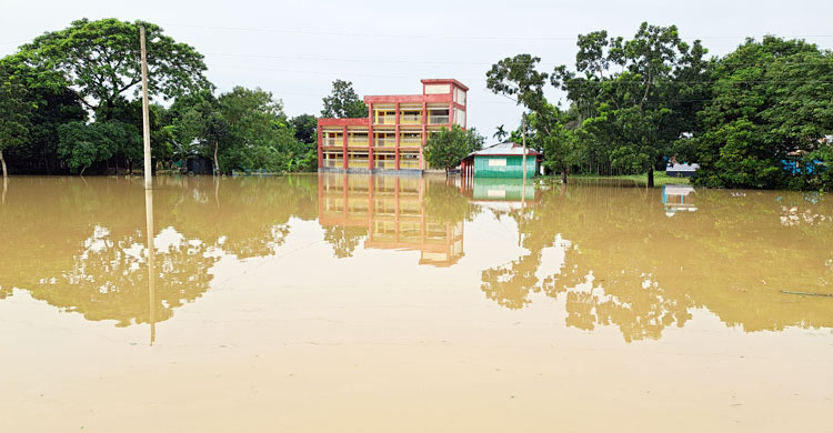 নেত্রকোনা: বন্যায় ভেসে গেছে দেড় হাজার পুকুরের মাছ