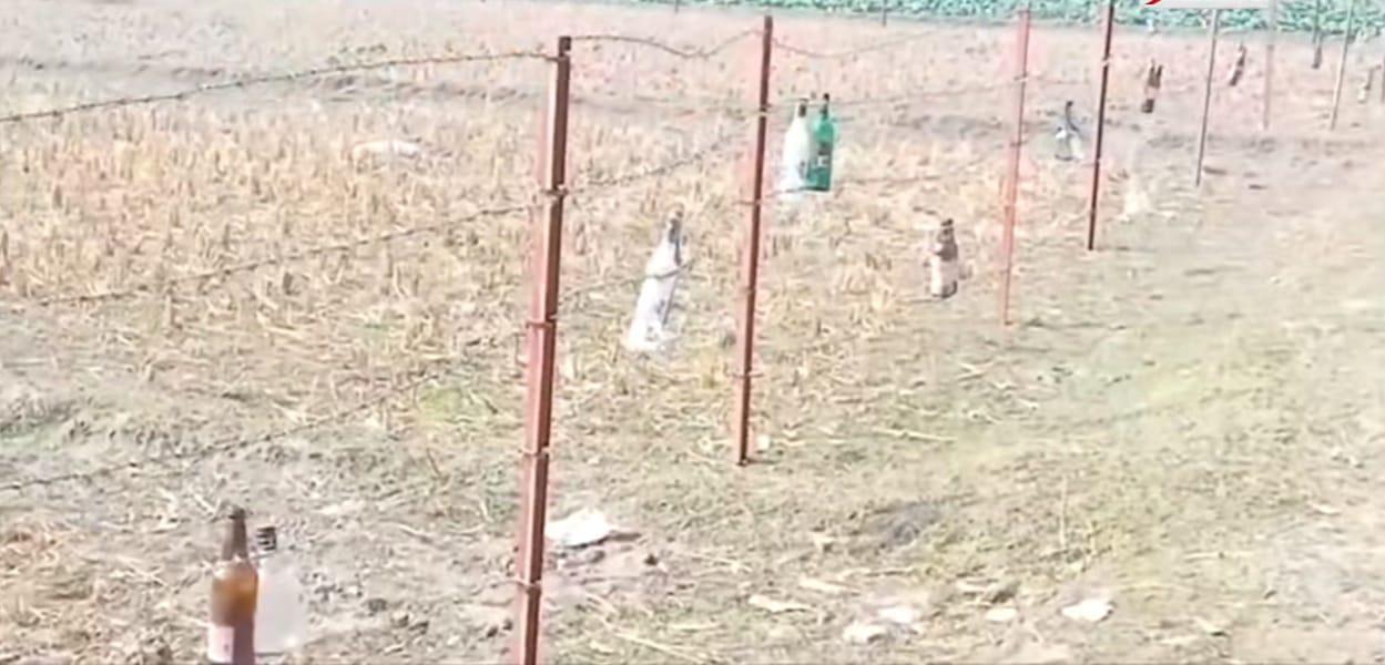 কাঁটাতারের বেড়ায় এবার কাচের বোতল, আতঙ্কে কাজে যেতে পারছে না দহগ্রামবাসী