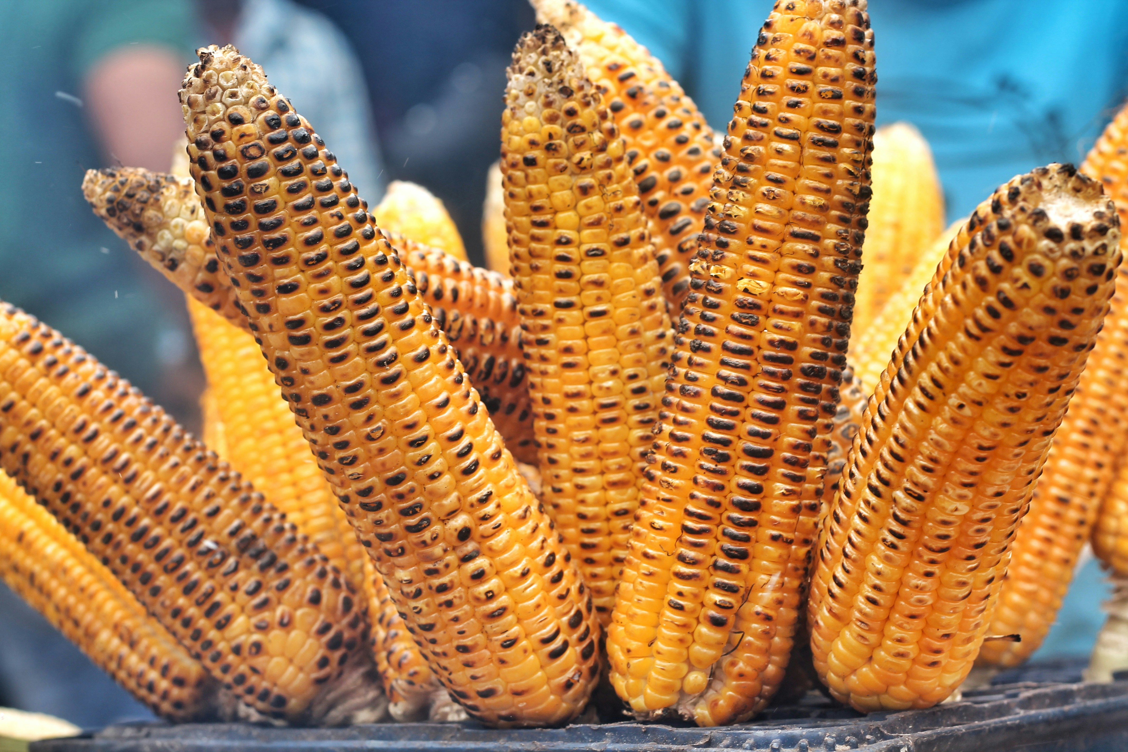 ভুট্টা খেলে পাবেন এই উপকারগুলো