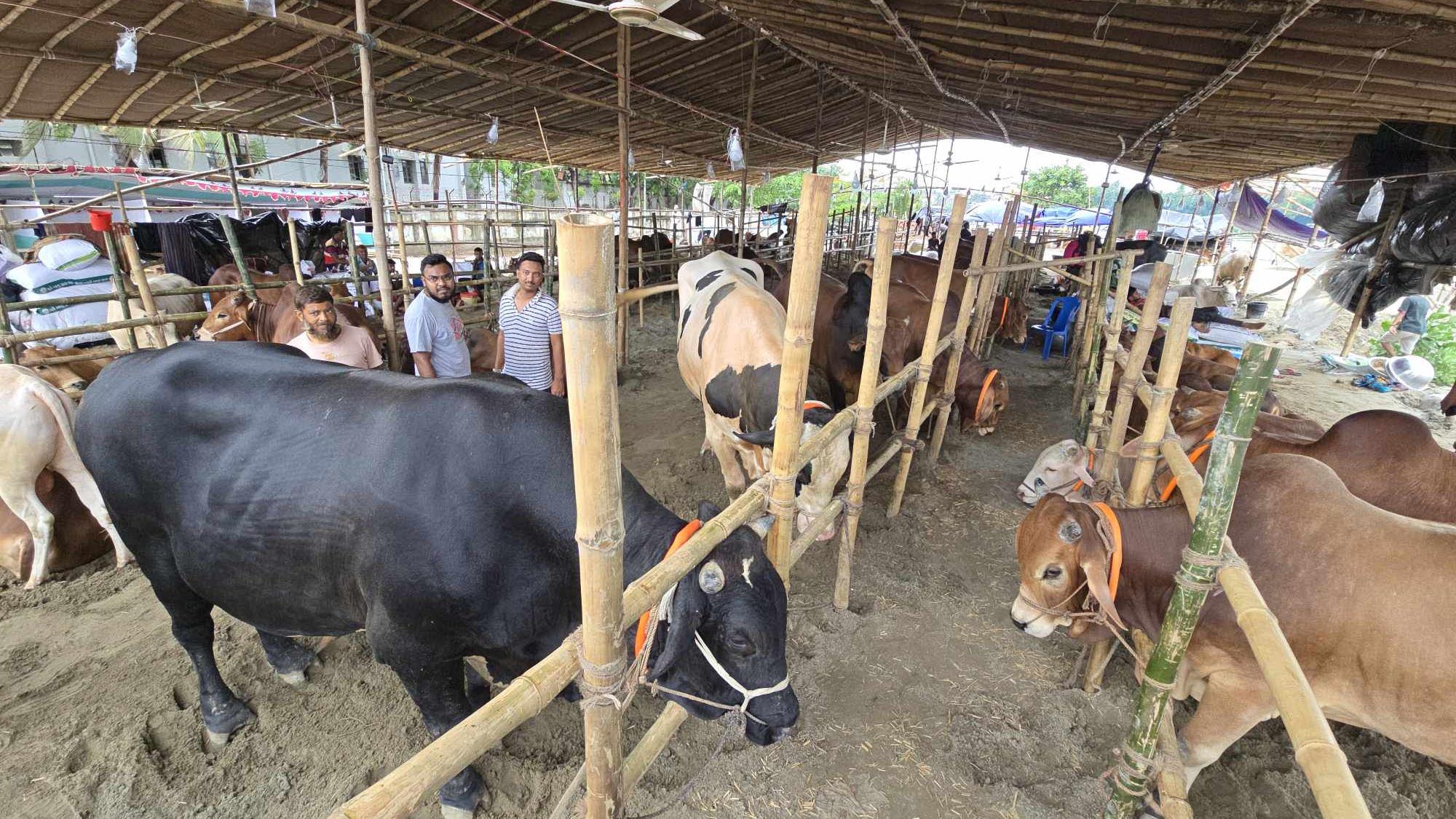 ঢাকায় বর্জ্য অপসারণে ২০ হাজার পরিচ্ছন্নতাকর্মী, ২৪ ঘণ্টায় শহর পরিষ্কারের লক্ষ্য