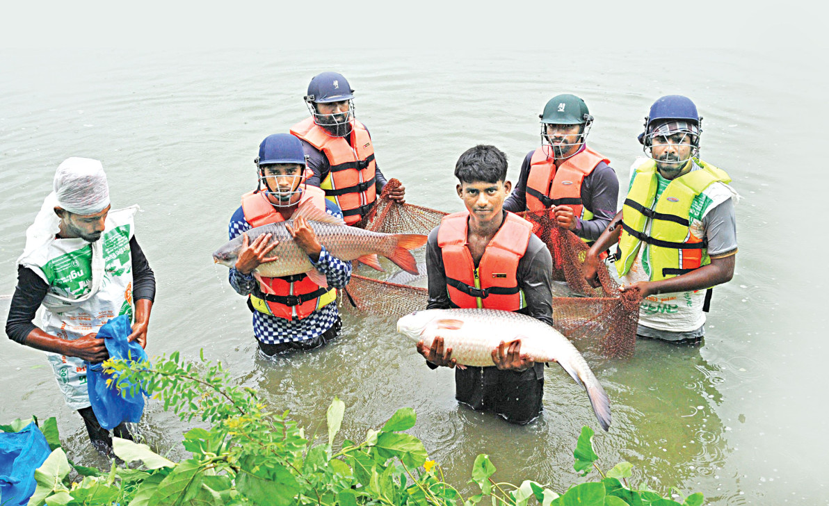 মাছ চাষে নীরব বিপ্লব, উদ্বেগ অ্যান্টিবায়োটিক-রাসায়নিকের অপব্যবহার