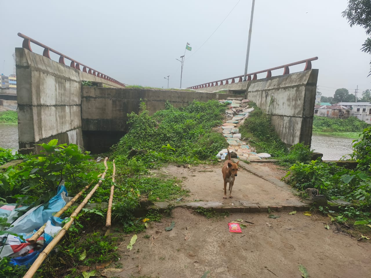 ছ