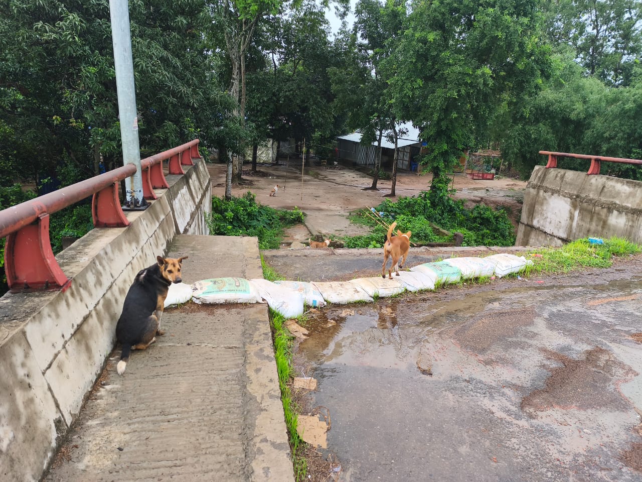 ছ