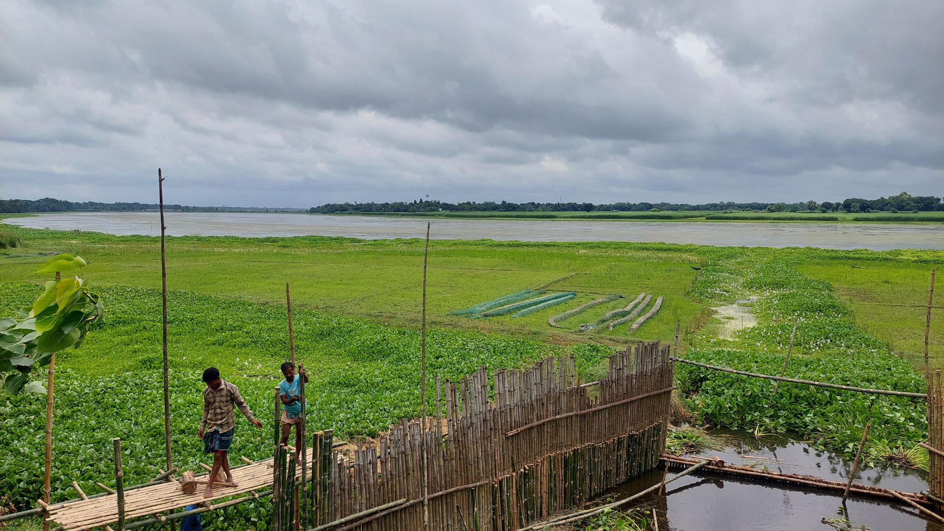 নান্দিয়ার বিল