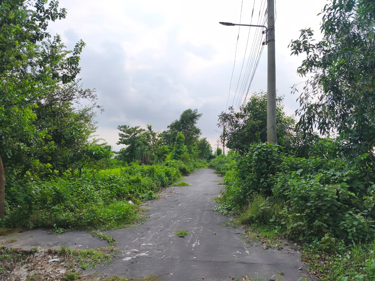চ