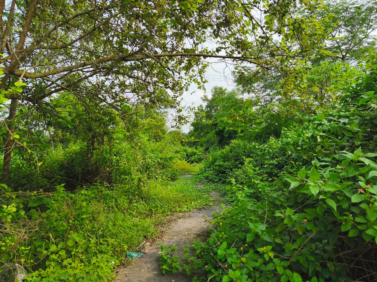 চ