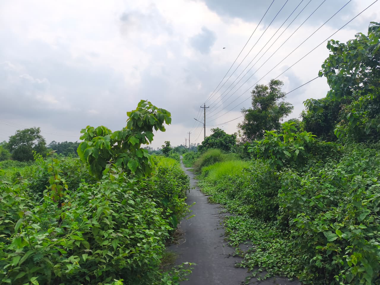 চ