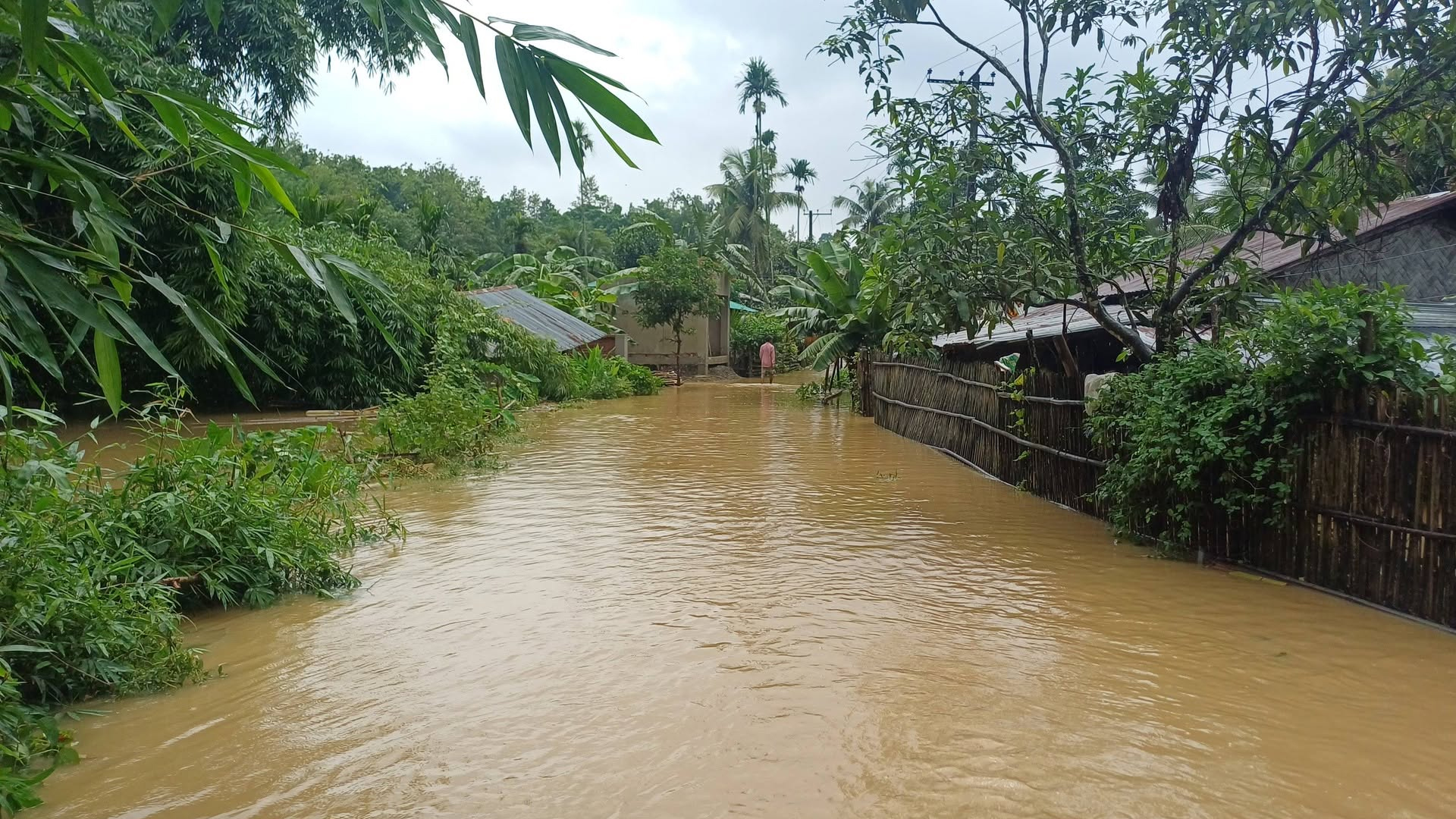 ছবি: স্টার