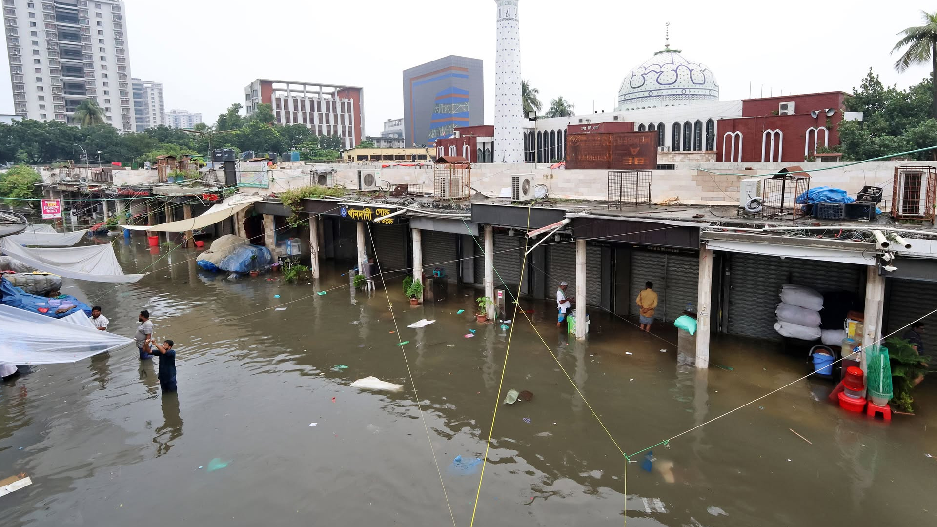ঢাকা নিউ মার্কেটে জলাবদ্ধতা। ছবি: পলাশ খান/স্টার