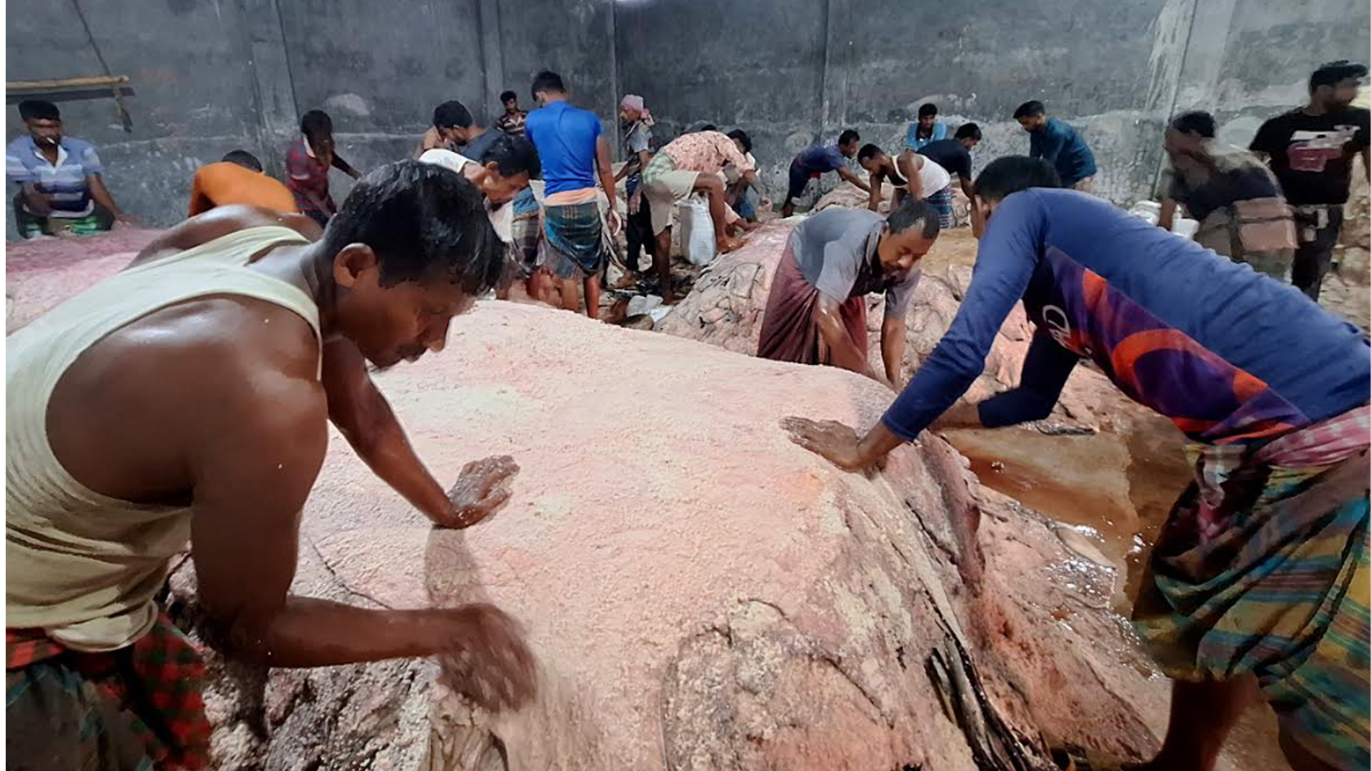 ছবি: স্টার