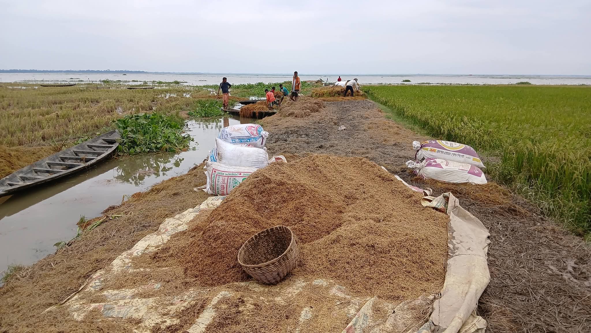 হাওর