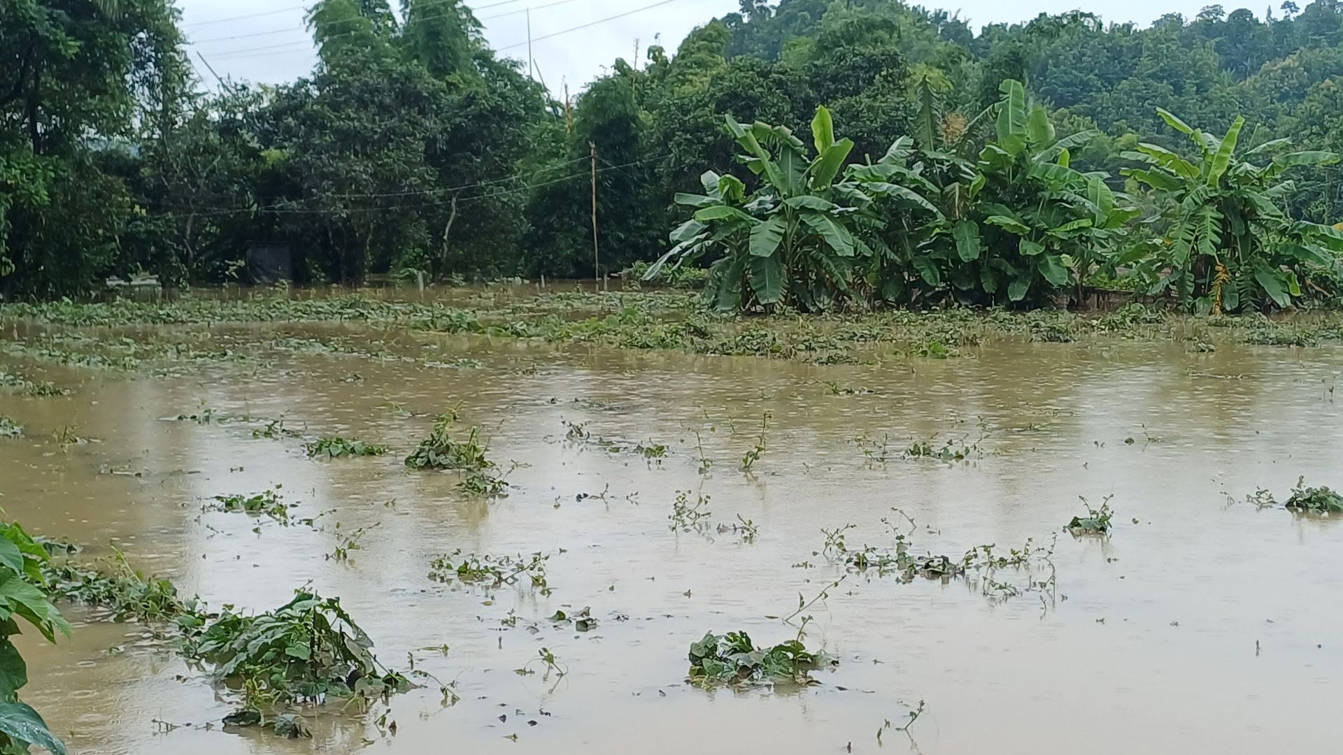 ছবি: স্টার