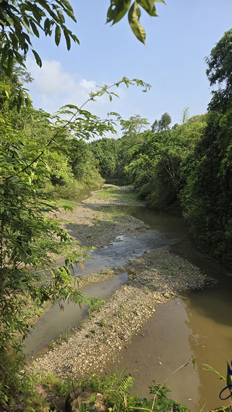 রোহিঙ্গা