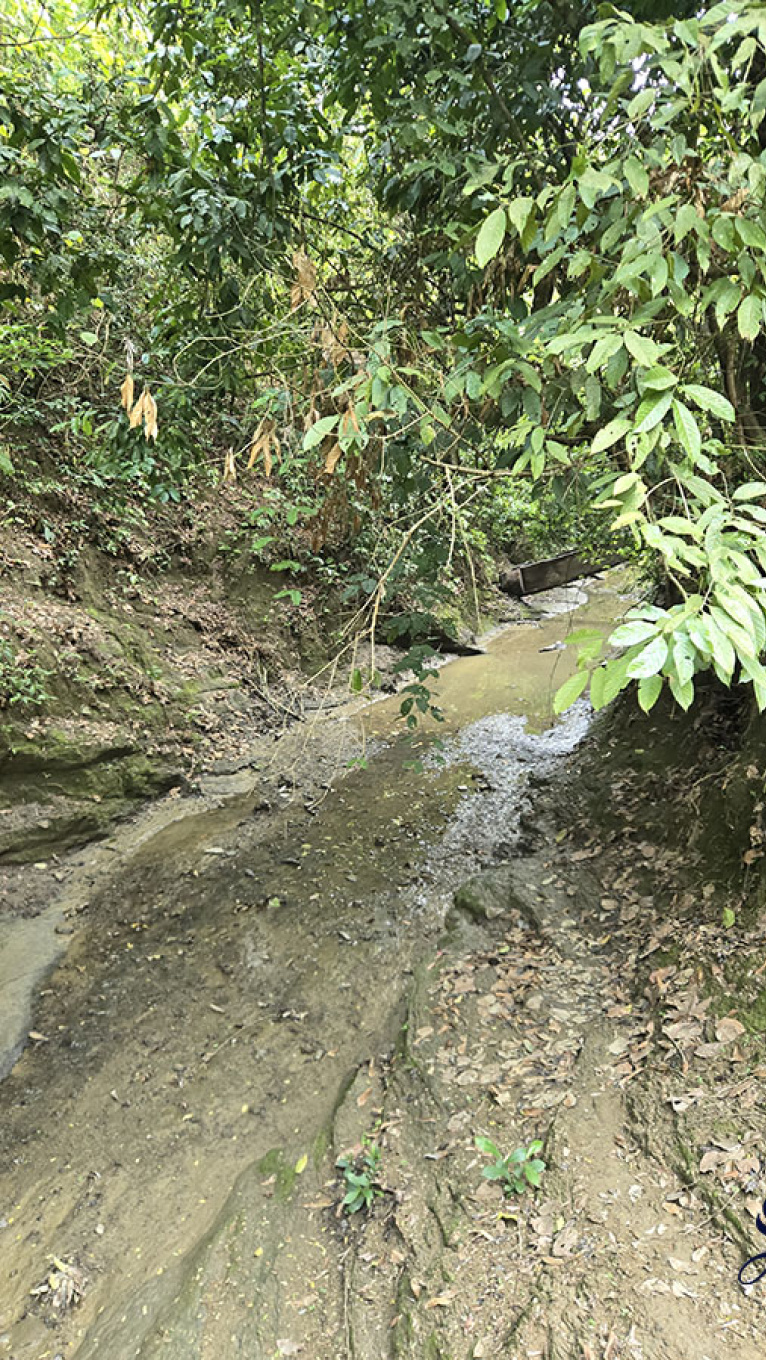 রোহিঙ্গা