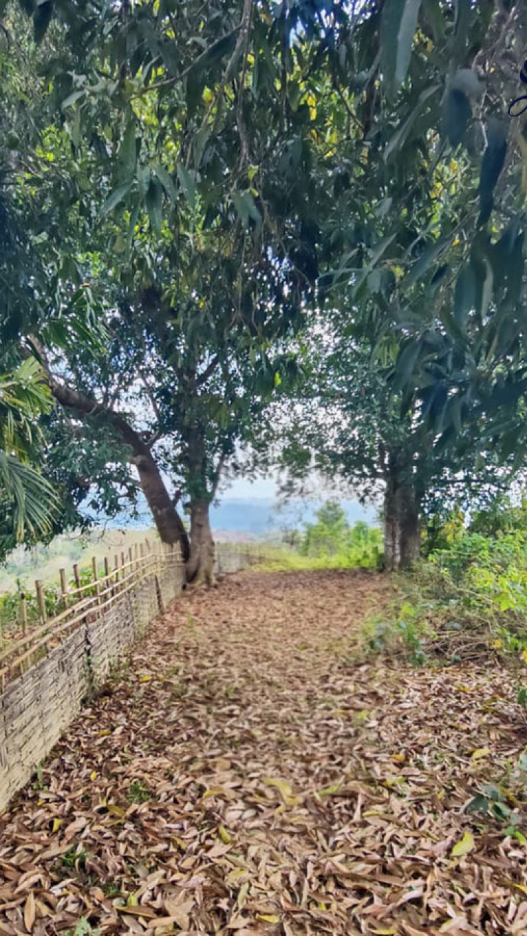 রোহিঙ্গা