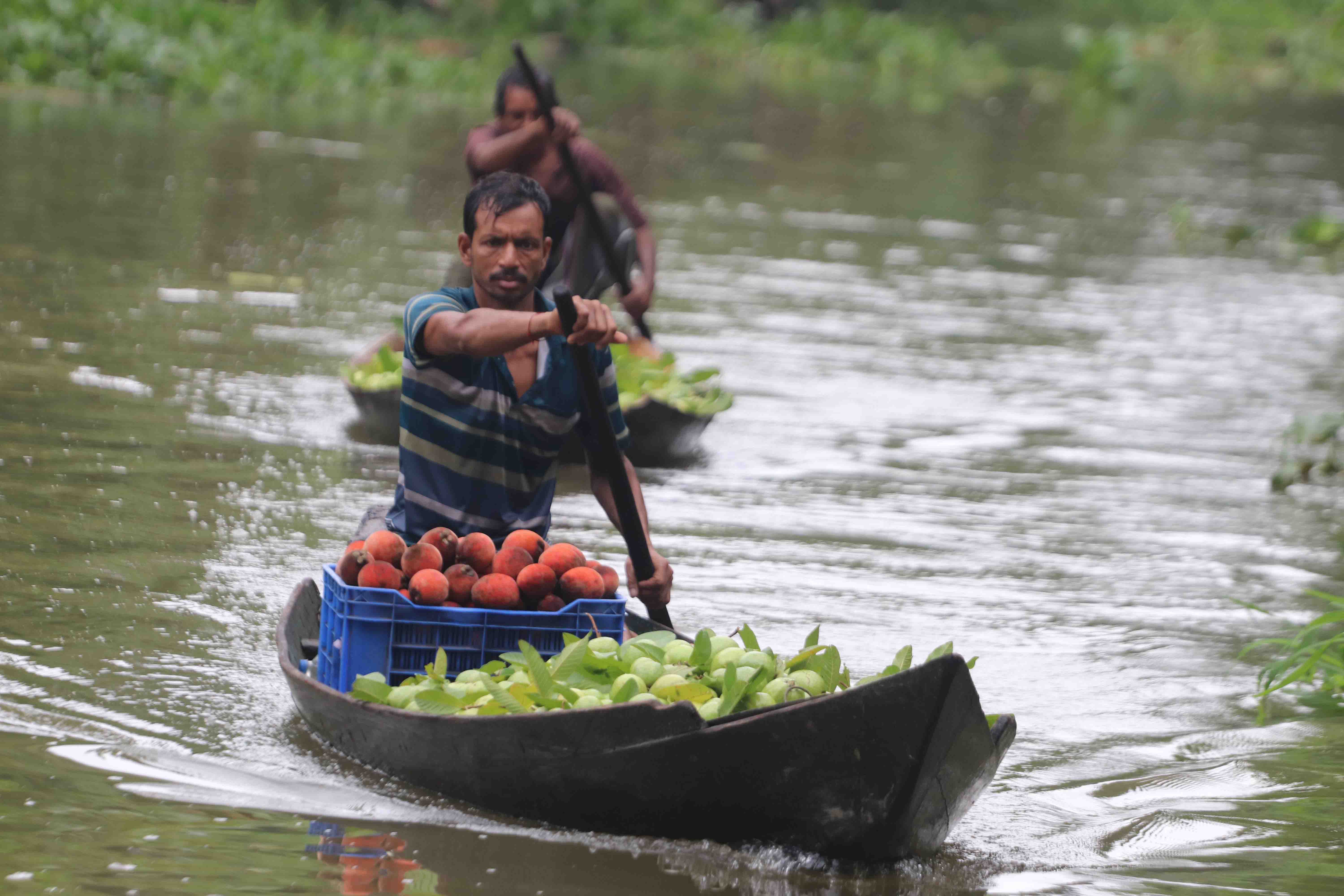 নৌকায় পেয়ারা
