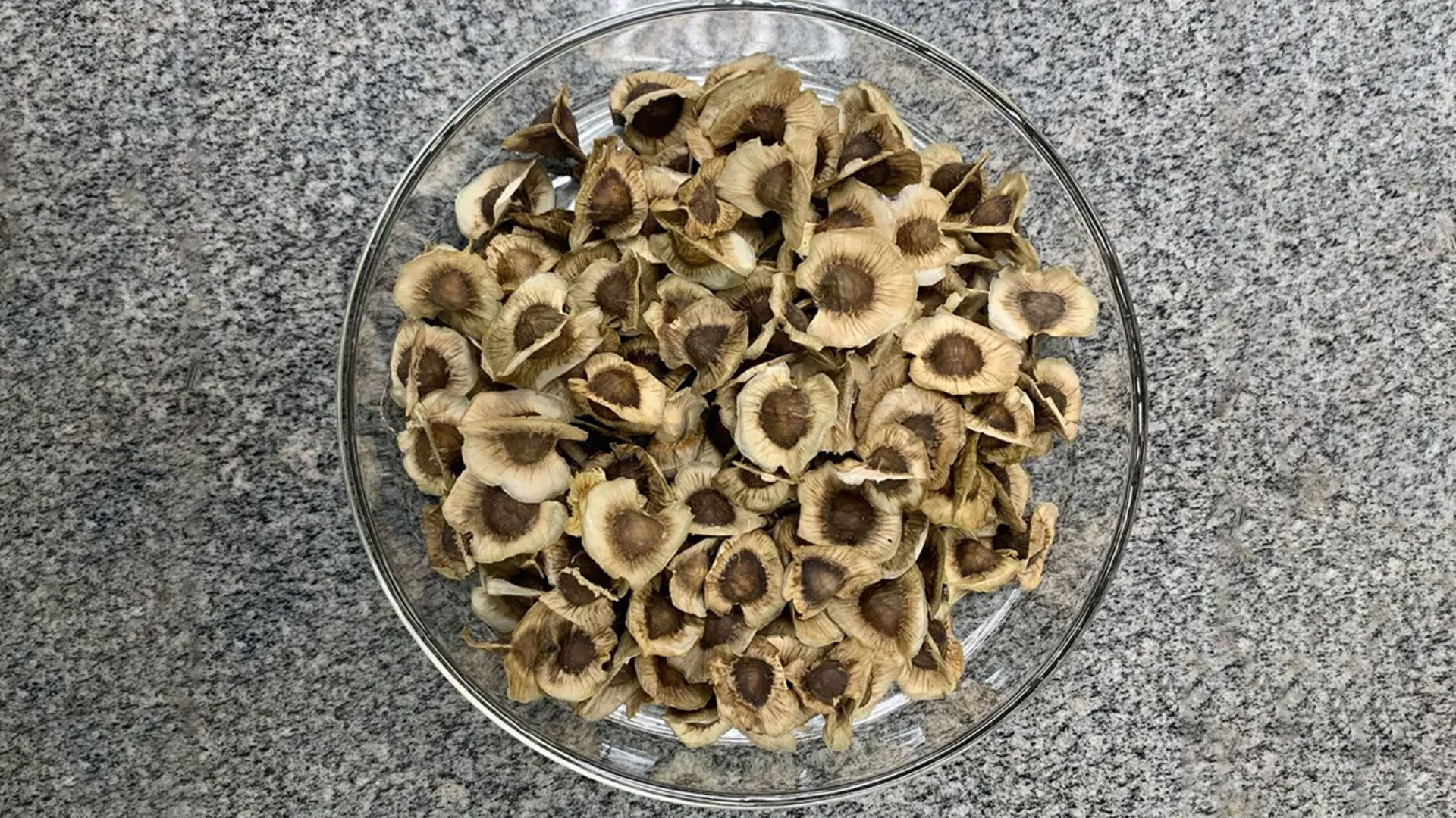 খোসাসহ সজনে বীজ
