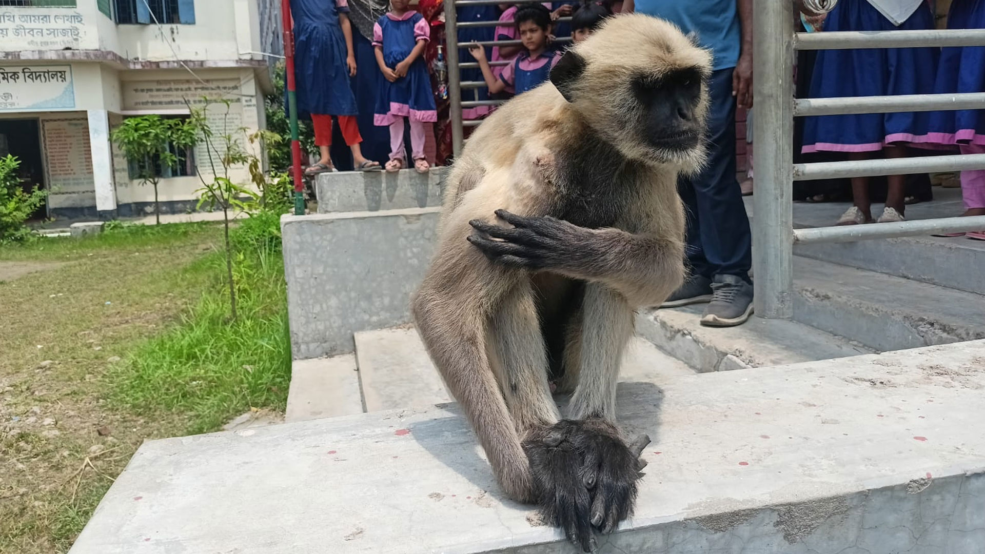 হনুমান