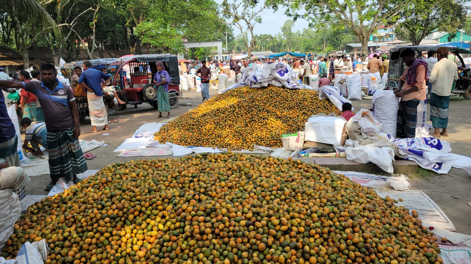 সুপারি