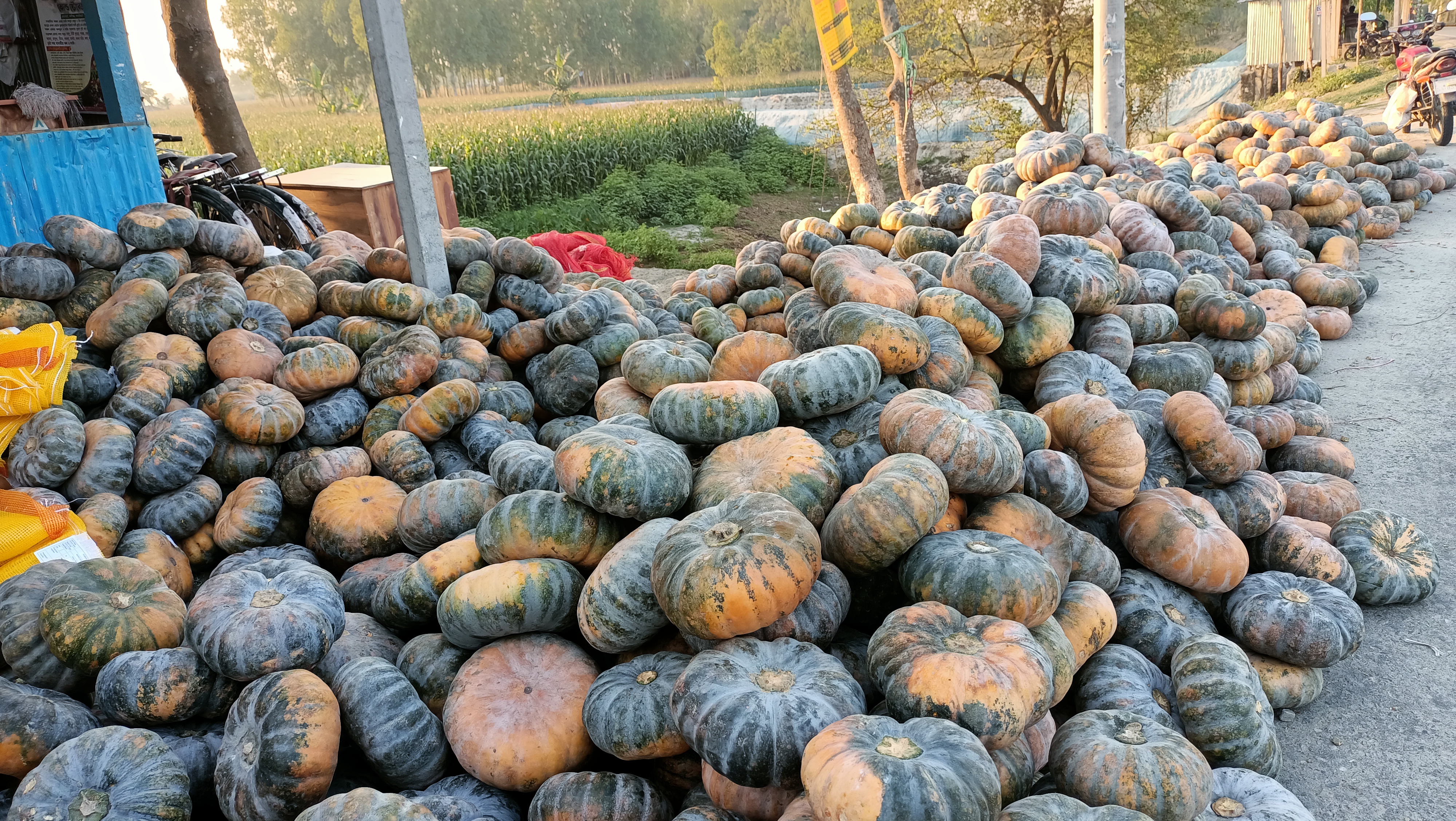 ছবি: এস দিলীপ রায়/ স্টার