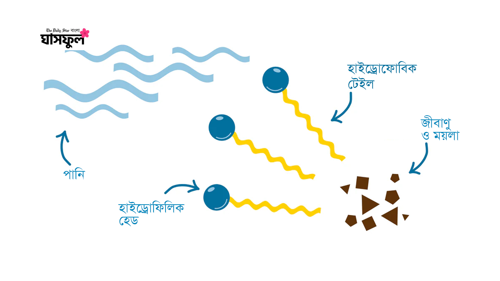 সাবান