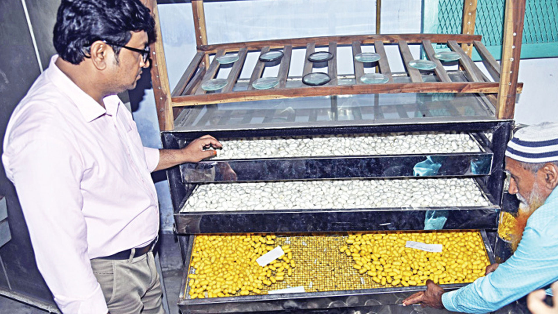 Rajshahi silk