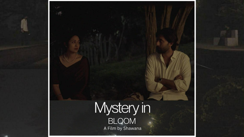 bloom