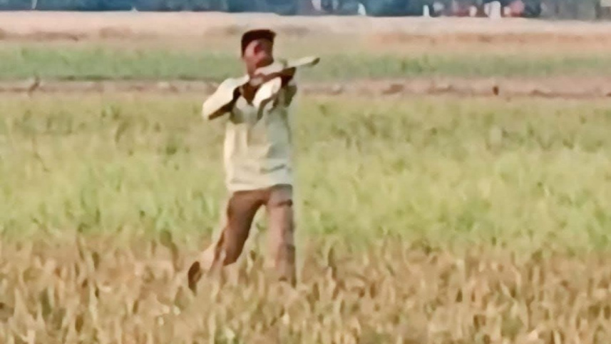 গুলি