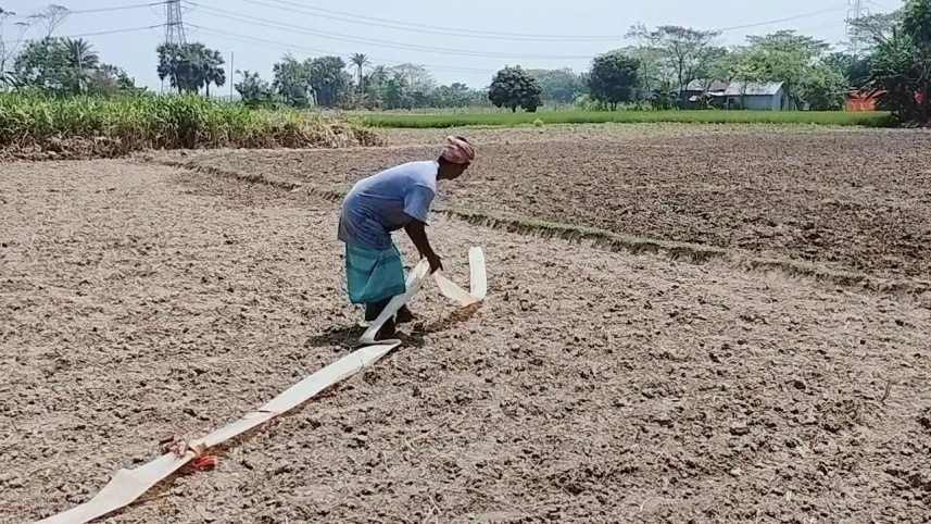 agriculture
