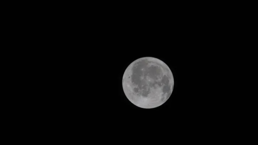 Moon-Artemis
