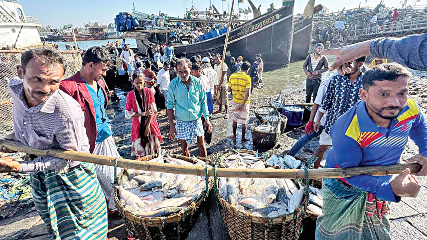 fishing